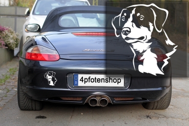 Autoaufkleber "Entlebucher" Kopf