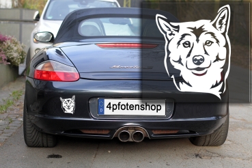 Autoaufkleber "Shiba" Kopf