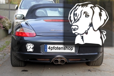 Autoaufkleber "Magyar Vizsla" Kopf