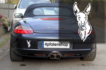 Autoaufkleber "Podenco" Kopf