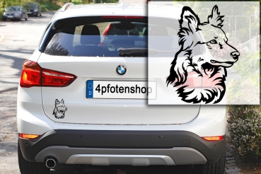 Autoaufkleber "Harzer Fuchs (Altdeutscher Hütehund)" Kopf