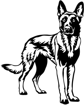 Aufkleber Malinois