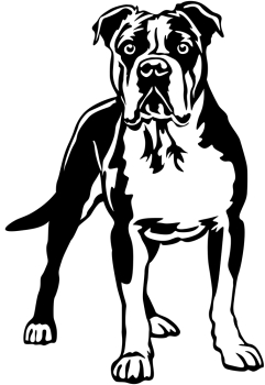 Aufkleber American Bulldog