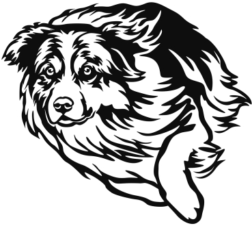 Aufkleber Australian Shepherd