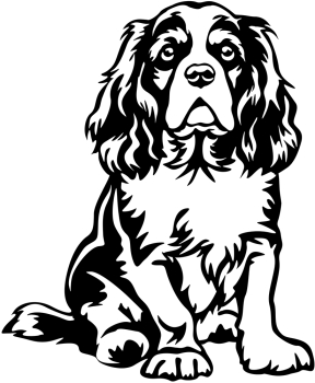 Aufkleber Cavalier King Charles Spaniel