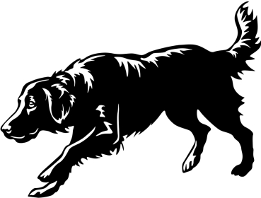 Aufkleber Flat-coated Retriever Kopf