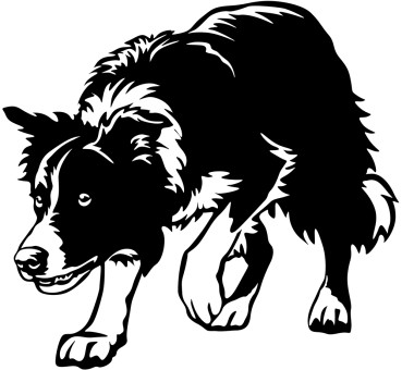 Aufkleber Border Collie