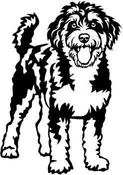 Aufkleber Aussiepoo
