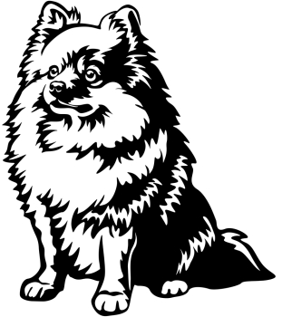 Aufkleber Zwergspitz