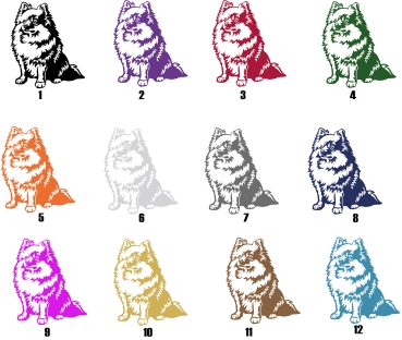 Preview: Autoaufkleber "Zwergspitz (Pomeranian)" Kontur