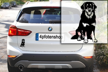 Preview: Autoaufkleber "Hovawart" Kontur