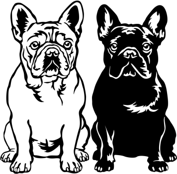 Aufkleber Französische Bulldogge