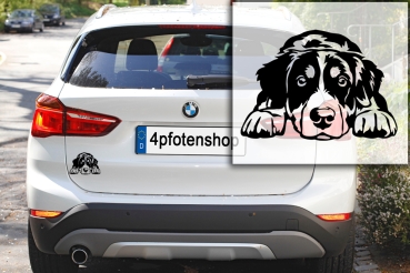 Preview: Autoaufkleber "Appenzeller" Kontur