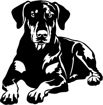 Aufkleber Dobermann