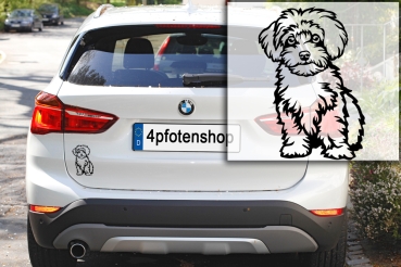 Preview: Autoaufkleber "Maltipoo" Kontur