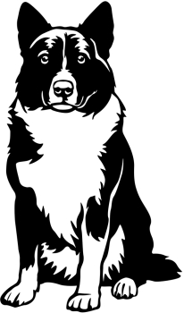 Aufkleber Karelischer Bärenhund