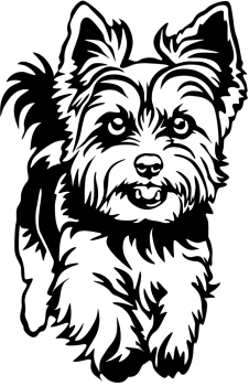 Aufkleber Yorkshire Terrier