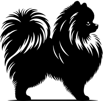 Aufkleber Zwergspitz