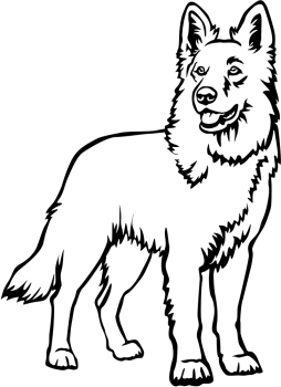 Aufkleber Schweizer Schäferhund