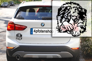Preview: Autoaufkleber "Australian Shepherd" Kontur