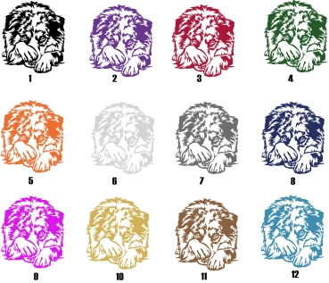 Preview: Autoaufkleber "Australian Shepherd" Kontur