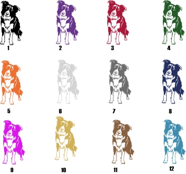 Preview: Autoaufkleber "Border Collie" Kontur