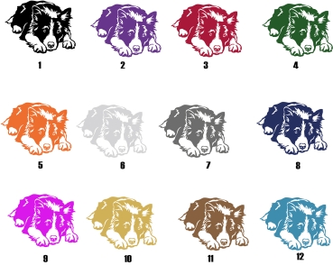 Preview: Autoaufkleber "Border Collie" Kontur