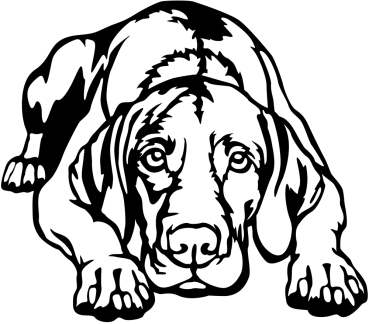 Aufkleber Magyar Vizsla