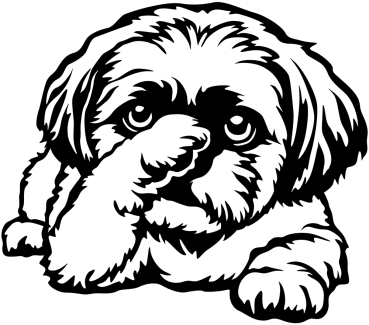 Aufkleber Shih-Tzu
