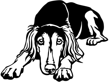 Saluki Konturenaufkleber