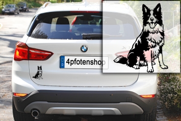 Preview: Autoaufkleber "Border Collie" Kontur