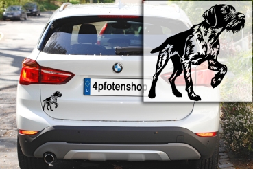Preview: Autoaufkleber "Deutsch Drahthaar" Kontur