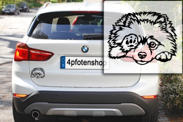 Autoaufkleber "Zwergspitz (Pomeranian)" Kontur