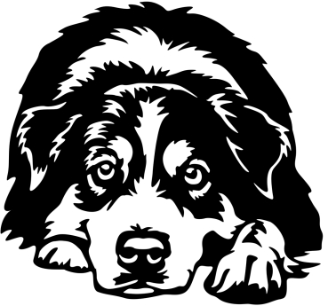 Aufkleber Australian Shepherd