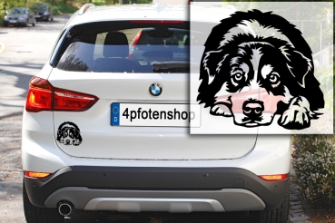 Autoaufkleber "Australian Shepherd" Kontur