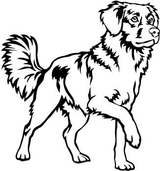 Aufkleber Duck Rolling Retriever