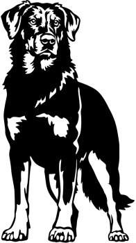 Aufkleber Beauceron