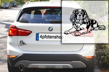 Preview: Autoaufkleber "King Charles Spaniel" Kontur