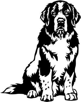 Aufkleber Landseer