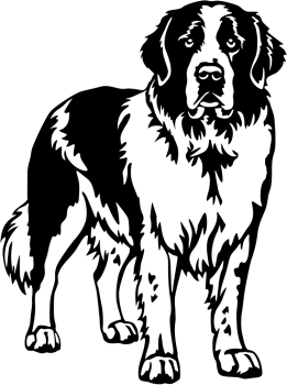 Aufkleber Landseer