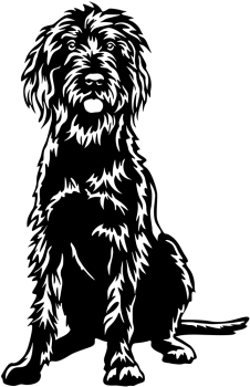 Aufkleber Pudelpointer