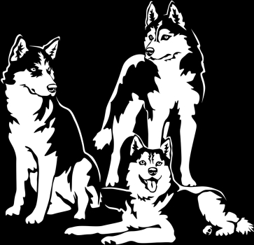 Autoaufkleber "Siberian Huskies" Kontur