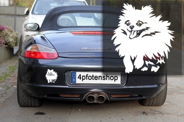 Autoaufkleber "Zwergspitz (Pomeranian)" Kontur