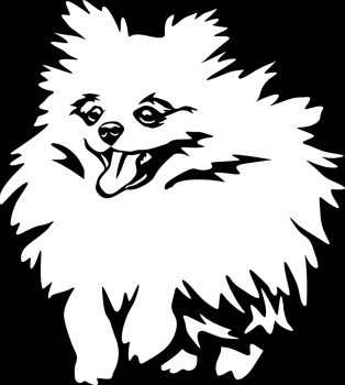 Autoaufkleber "Zwergspitz (Pomeranian)" Kontur