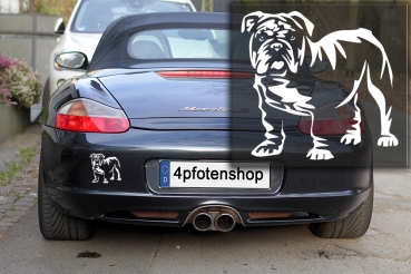 Autoaufkleber "Englische Bulldogge" Kontur