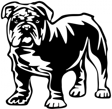 Autoaufkleber "Englische Bulldogge" Kontur