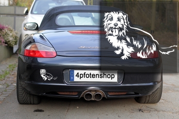 Autoaufkleber "Norfolk Terrier" Kontur