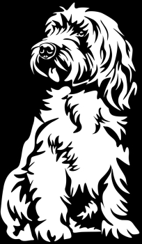 Aufkleber Cockerpoo Cockapoo Kopf