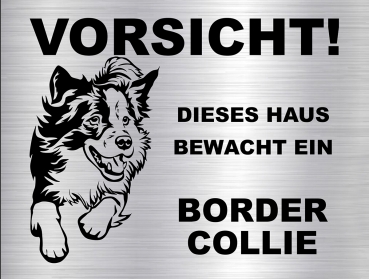 Hundeschild Border Collie