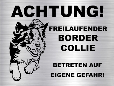 Hundeschild Border Collie